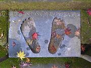 foto_20091118_1602_01