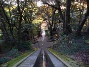 foto_20091118_1615_02