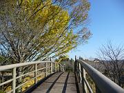foto_20091123_1333_02
