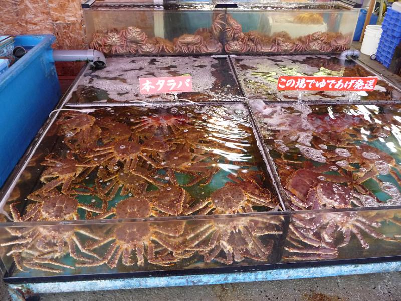 foto_20091110_1357_01.jpg - [de]Frischer geht's nimmer, lebende Krabben auf dem Markt.[en]This is as fresh as you can buy crabs here on the market.
