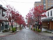 foto_20091110_1210_02