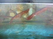 foto_20091110_1358_01