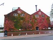 foto_20091111_1030_01
