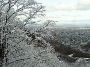 foto_20091111_1417_02