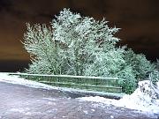 foto_20091111_1726_02
