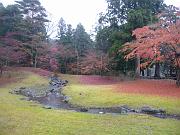 foto_20091114_0955_01