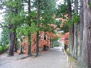 foto_20091114_1003_02