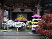 foto_20091114_1113_01