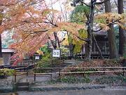 foto_20091114_1114_02
