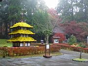 foto_20091114_1130_01