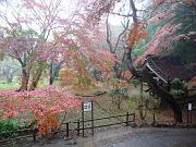 foto_20091114_1138_01