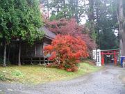 foto_20091114_1142_02