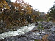 foto_20091114_1316_02