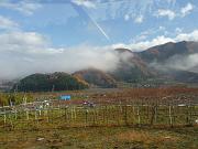 foto_20091115_0944_02