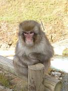 foto_20091115_1158_02