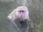 foto_20091115_1210_02