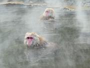 foto_20091115_1211_01