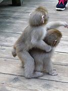 foto_20091115_1221_01
