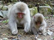 foto_20091115_1248_02