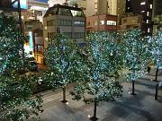 foto_20091116_2034_01